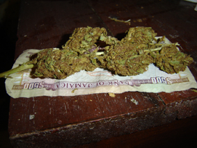 Sommité fleurie de cannabis